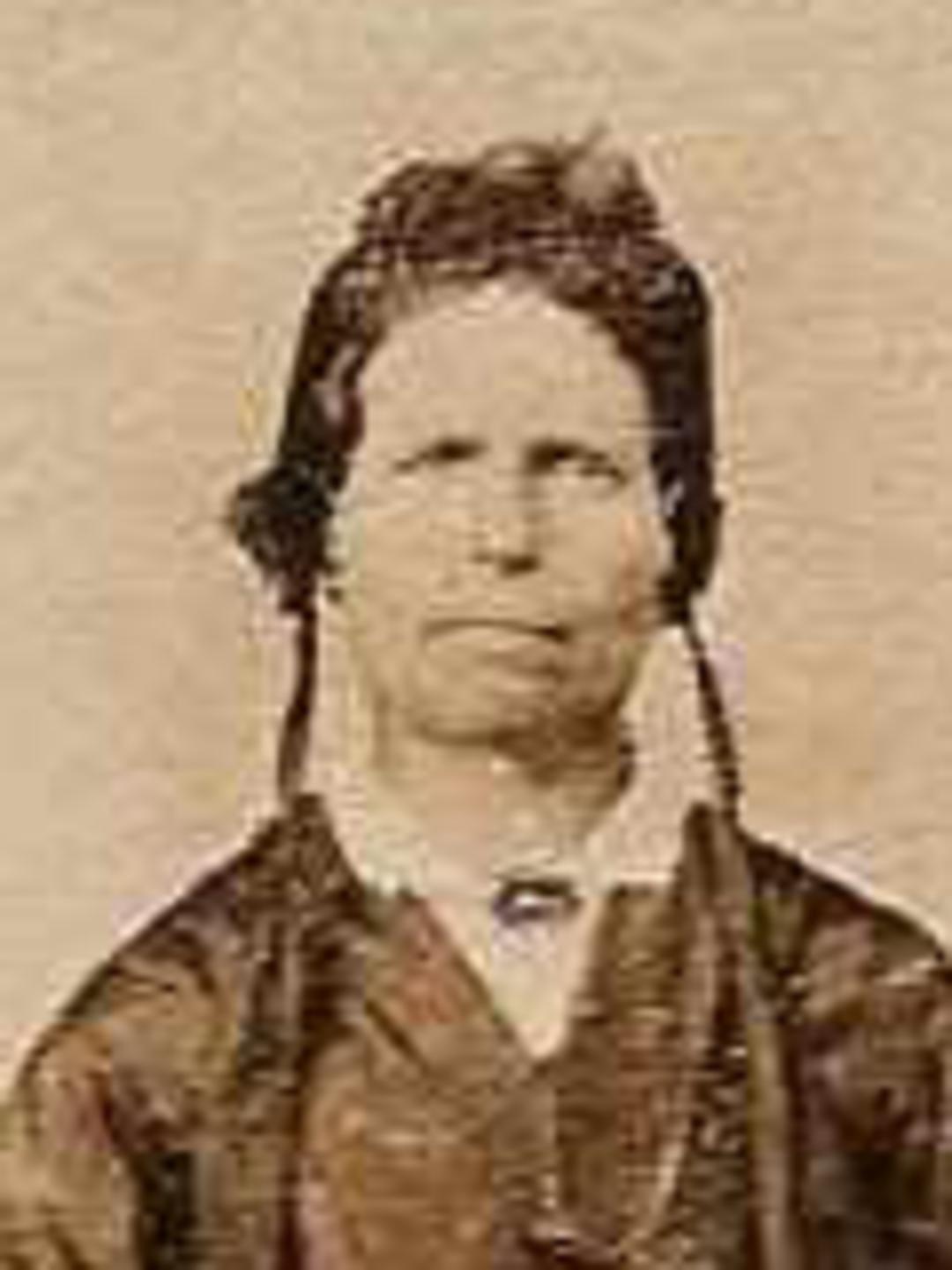 Lydia Davis (1825 - 1878) Profile
